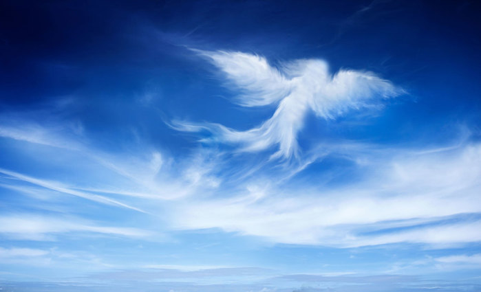 angel05 (700x425, 39Kb)