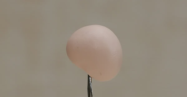 Лепим из полимерной глины младенца (2) (600x313, 27Kb)