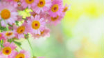 220-2 (150x84, 10Kb)