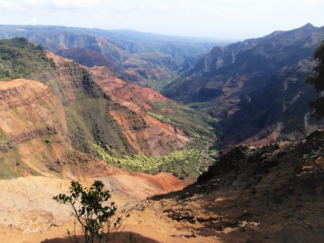 gran-canon-hawaii-kauai-650x488 (650x488, 271Kb)