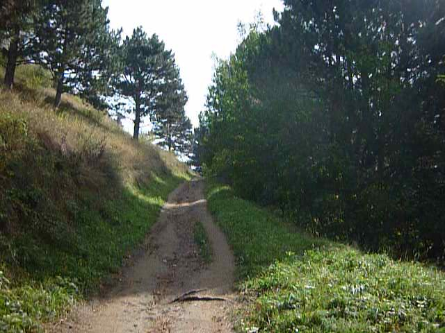 P1050986 (640x480, 219Kb)
