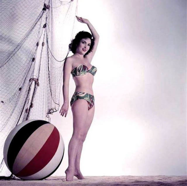 3085196_Gina_Lollobrigida_in_the_1950s_and_early_1960s_2 (640x637, 71Kb)