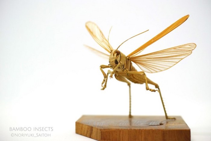 Noriyuki Saitoh: скульптуры насекомых из дерева