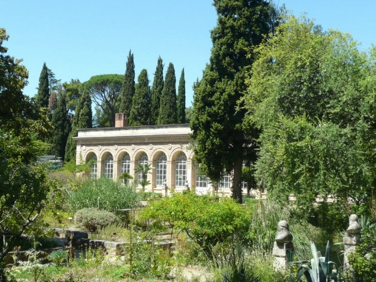 Ботанический сад Монпелье0 (540x405, 291Kb)
