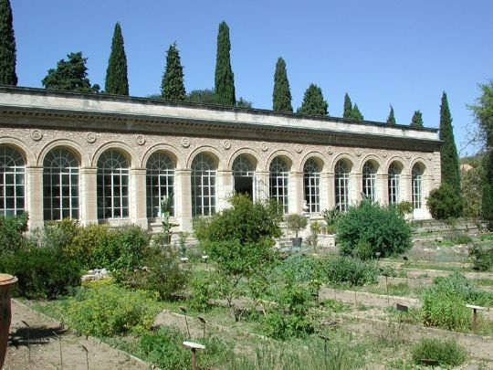 Ботанический сад Монпелье2 (540x405, 188Kb)