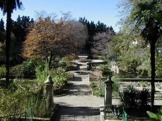Ботанический сад Монпелье4 (540x405, 218Kb)