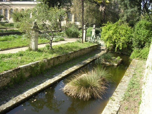 Ботанический сад Монпелье8-1 (600x450, 302Kb)