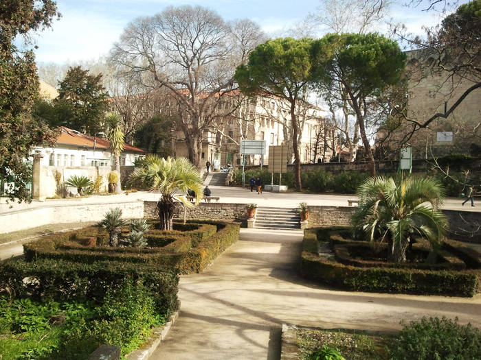 Ботанический сад Монпелье11 (700x525, 543Kb)