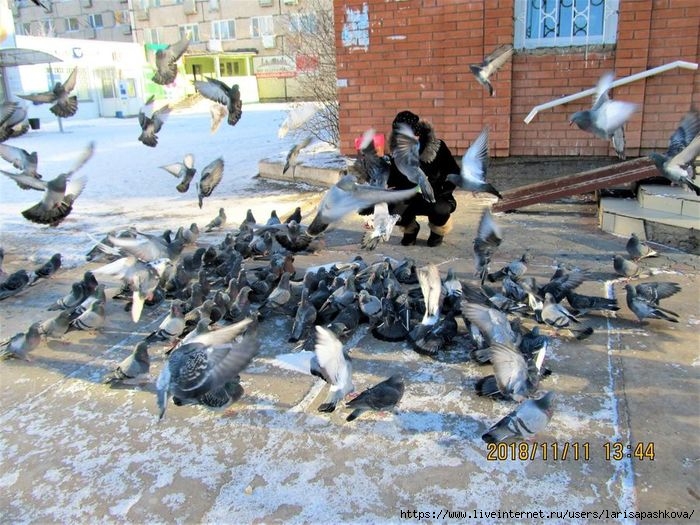 sharypovo_moroz 11.11.2018_6.PNG (700x525, 273Kb)