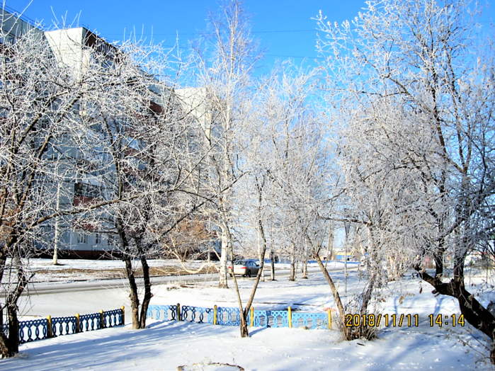 sharypovo_moroz 11.11.2018_23 (700x524, 927Kb)