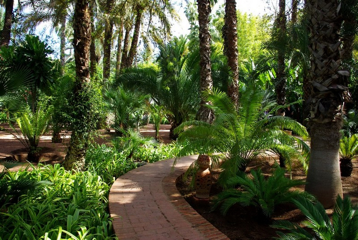 alt="   (Jardin Majorelle)   , "