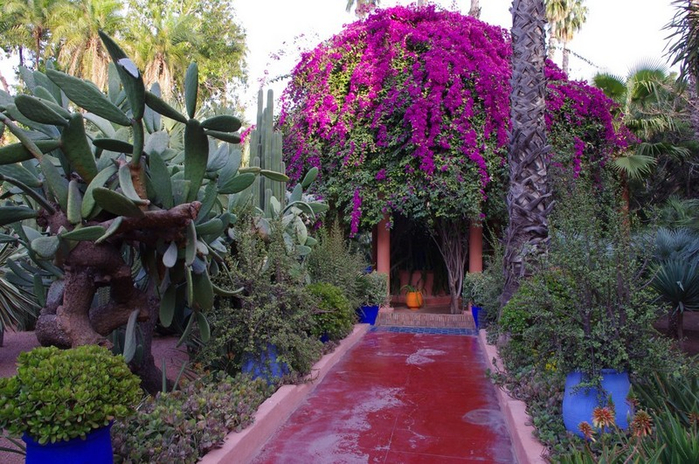 alt="   (Jardin Majorelle)   , "