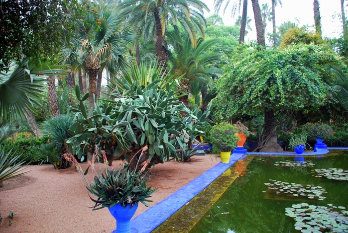 alt="   (Jardin Majorelle)   , "