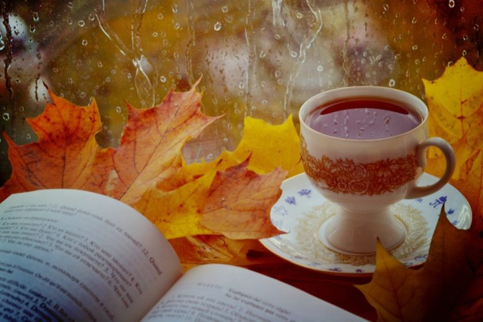 143700638_image_image_3073407768x512 (699x466, 330Kb)