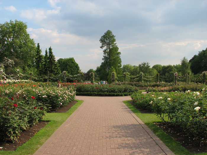 Сад «Rose garden queen Mary London»0 (700x525, 537Kb)