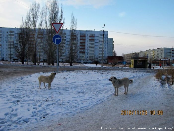 sharypovo_noiabr_2018_2 (700x525, 198Kb)