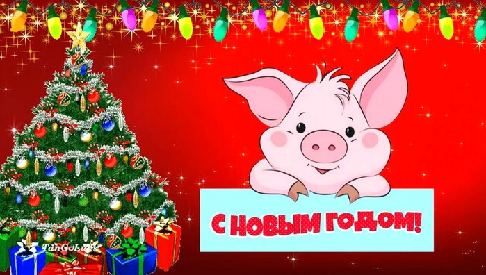 Прикольные Видео Поздравления С Новым Годом Свиньи