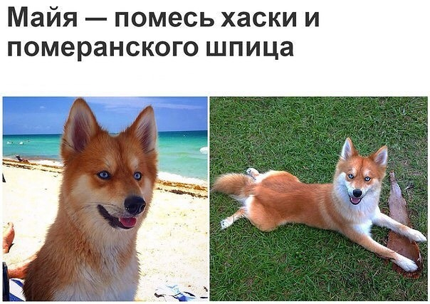 dJYxgJNhzw0 (604x427, 255Kb)
