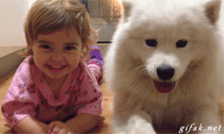 giphy (320x192, 1604Kb)