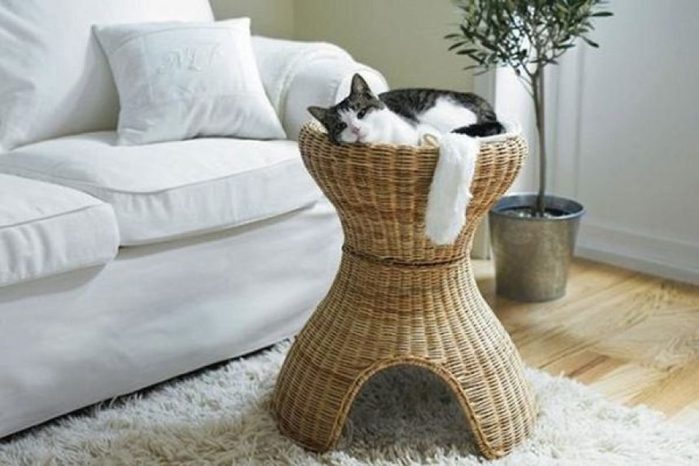 furniture-for-cats-19-1200x800 (700x466, 50Kb)