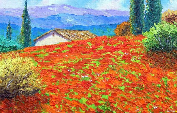 khudozhnik-jean-marc-janiaczyk-impressionist-art-pole-maki-d (596x380, 396Kb)