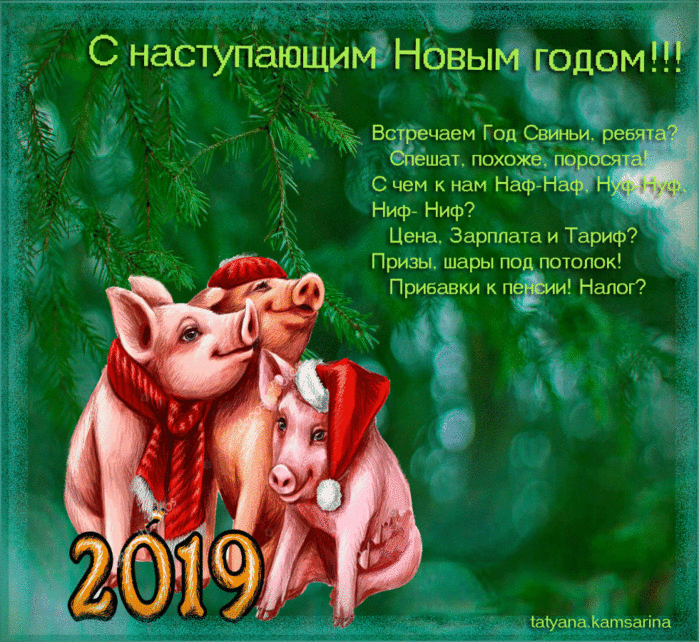 Лучшие Поздравления С Новым Годом Свиньи Другу