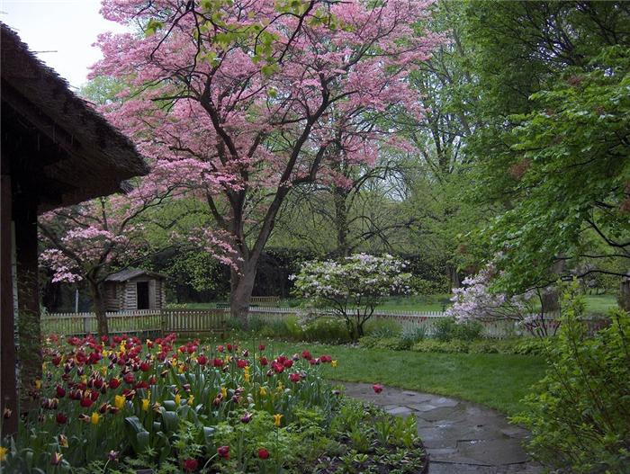 old-westbury-gardens-33 (700x527, 98Kb)
