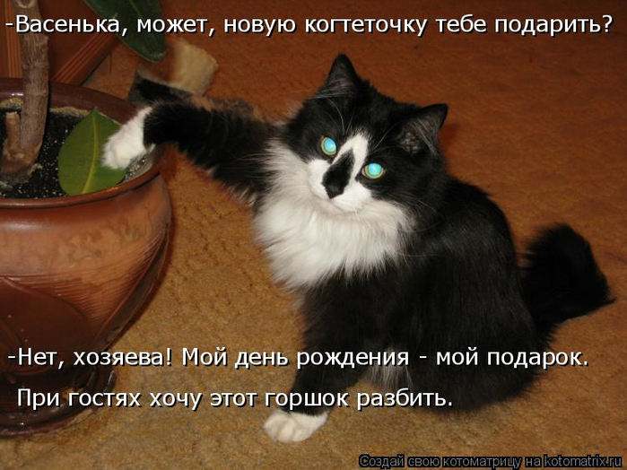 kotomatritsa_m (2) (700x524, 349Kb)