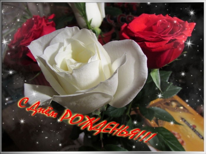 IMG_9972 (700x525, 238Kb)