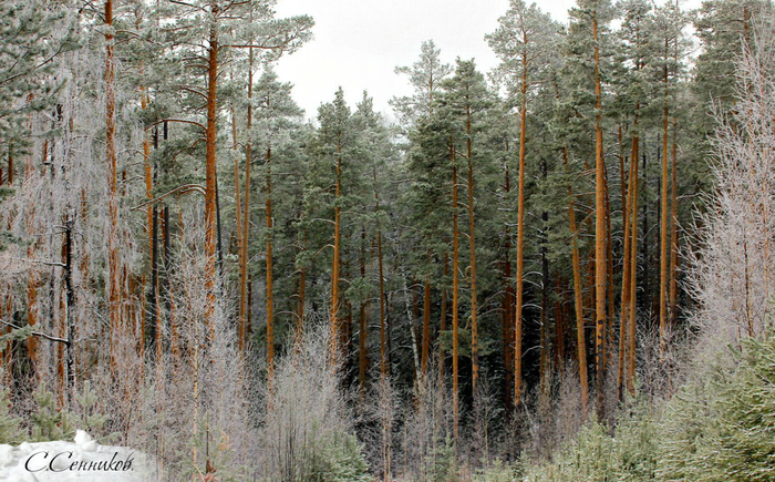 16 (700x435, 487Kb)