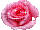 138162828_92 (40x30, 11Kb)