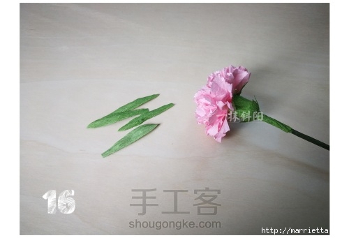 Бумажные цветы - гвоздики своими руками (16) (500x341, 68Kb)