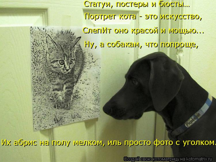 kotomatritsa_QN (700x524, 355Kb)