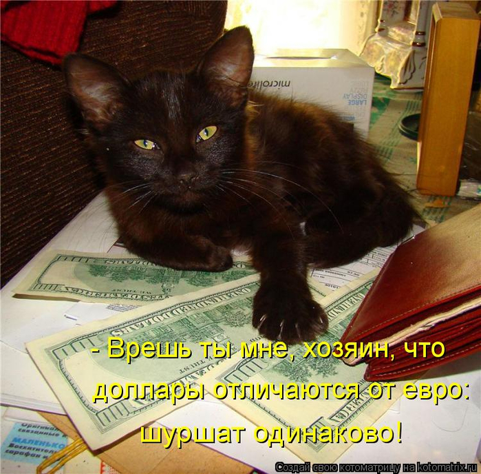 kotomatritsa_RH (700x688, 537Kb)