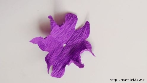 Гиацинт из гофрированной бумаги. Мастер-класс (8) (496x280, 38Kb)