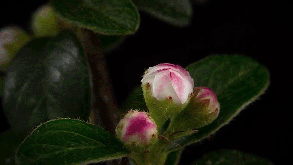 33 (600x338, 4230Kb)