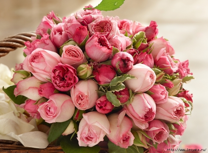 3925073_Roses_Bouquets_Pink_341335 (700x518, 284Kb)