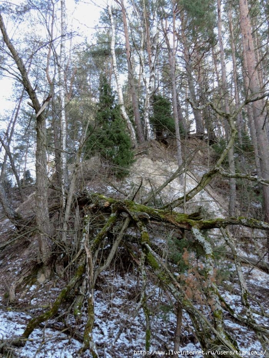 DSCN3967.jpg-00 (525x700, 422Kb)