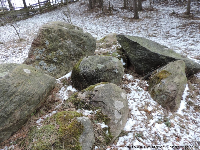 DSCN3921.jpg-0 (700x525, 434Kb)