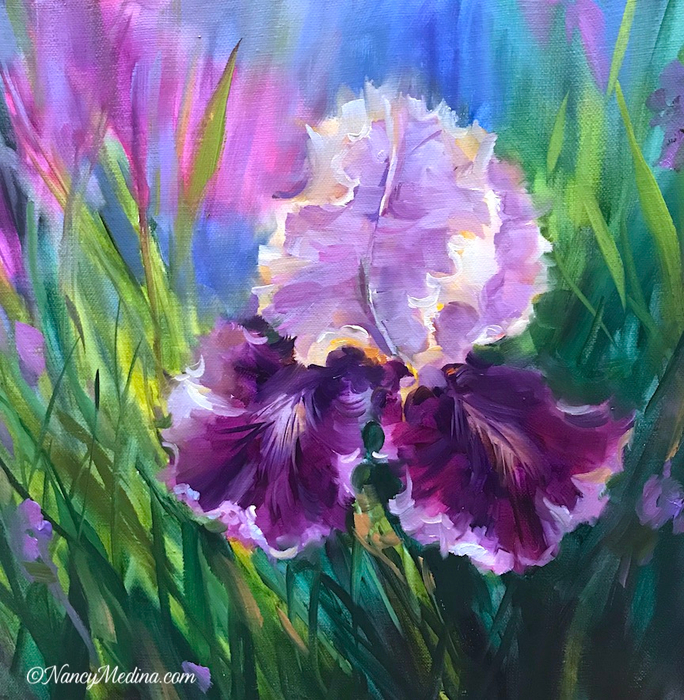 Sweet-Dreams-Violet-Iris-14X14-sm (684x700, 617Kb)