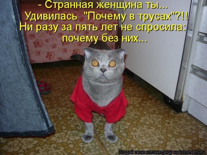 r2_www.catsmob.com_cm_20121221_02197_008_5e020383 (700x525, 273Kb)
