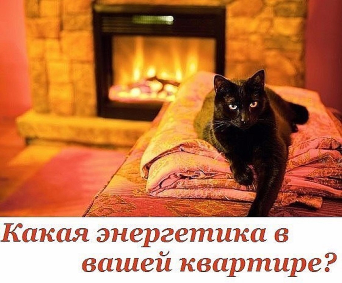 image (700x581, 383Kb)