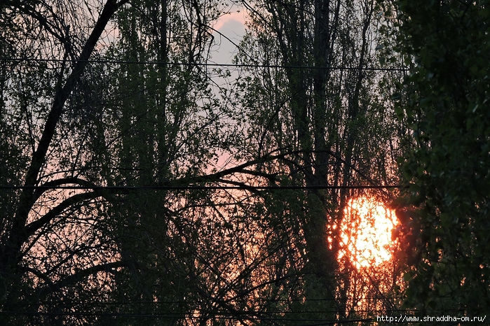 04 апрель, весна в Воронеже (59) (700x466, 441Kb)