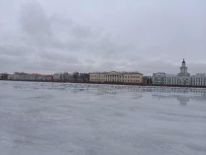 20190318_141623 (700x525, 234Kb)