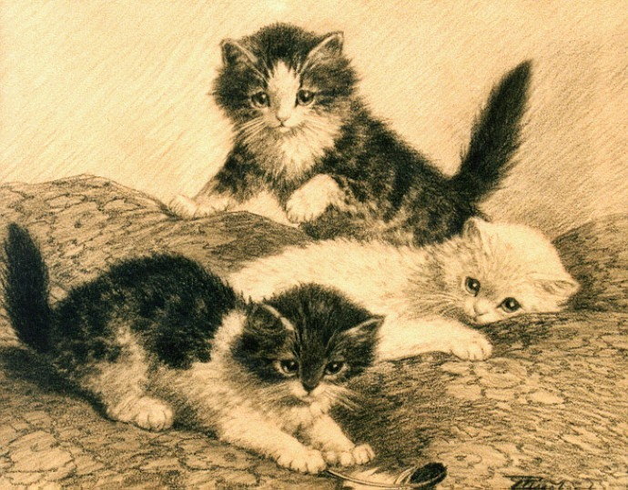 0000215-www.nevsepic.com.ua (690x539, 430Kb)