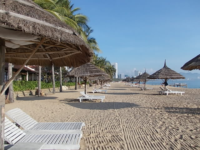 DSCN4140 (640x480, 226Kb)