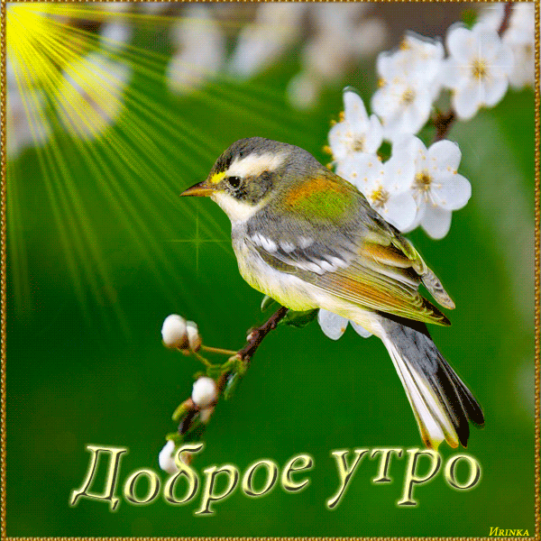 proxy.imgsmail.ru (600x600, 2103Kb)