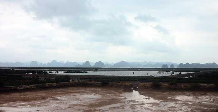 P1070031 (700x361, 289Kb)