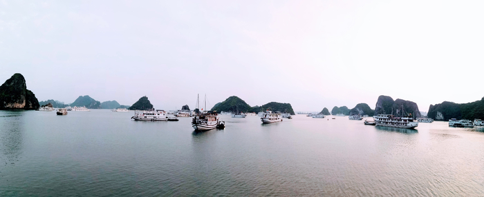 IMG_20190424_054040 (700x286, 138Kb)