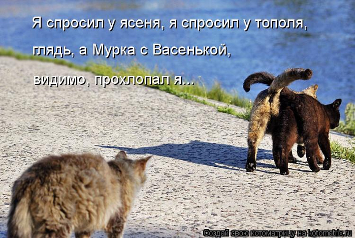 kotomatritsa_b (1) (700x468, 379Kb)